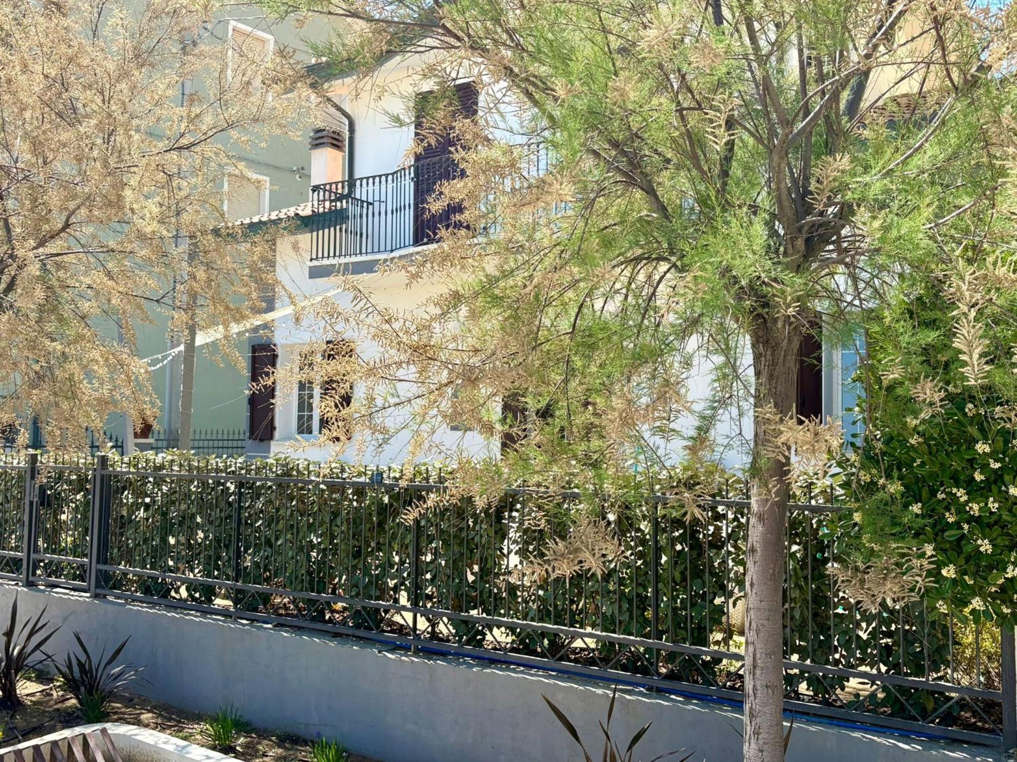 Villa Dolcevita Bellaria-Igea Marina Dış mekan fotoğraf